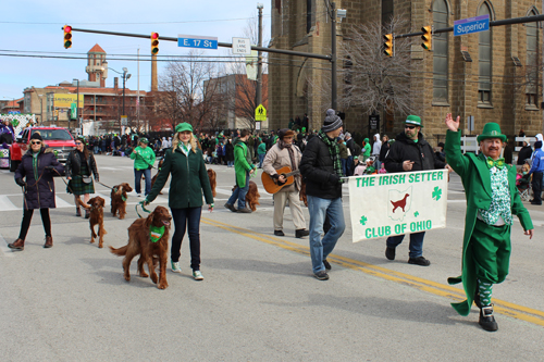 Irish Setter Club of Ohio